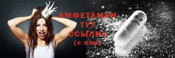 молекула духа Снежинск