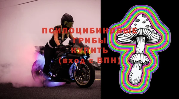 PSILOCYBIN Алексин