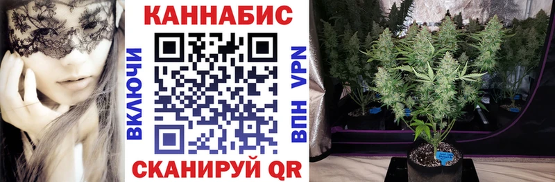 Канабис Amnesia  Грязовец 